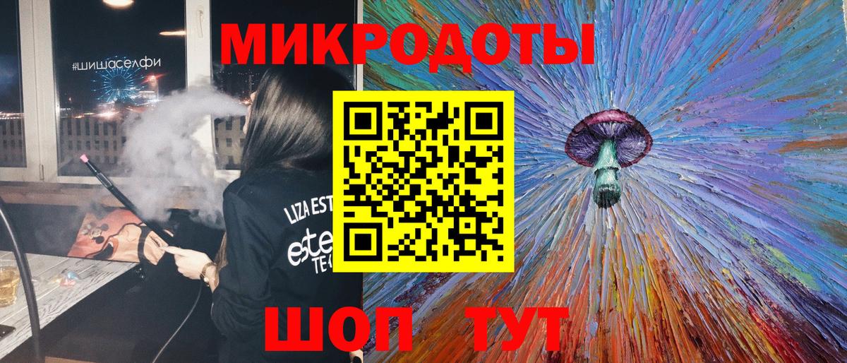 Псилоцибиновые грибы Psilocybe  Псилоцибиновые грибы прущие грибы  Моздок  Вход с VPN 