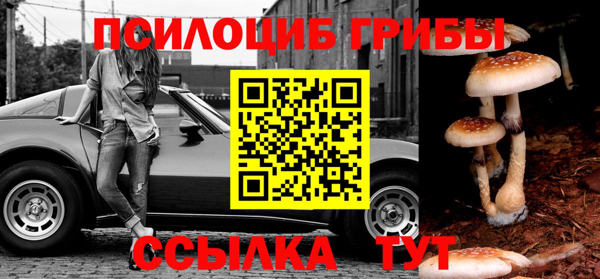 цена   Моздок  Галлюциногенные грибы мухоморы 