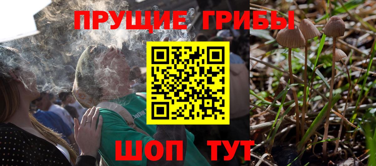 Бошки Шишки Моздок