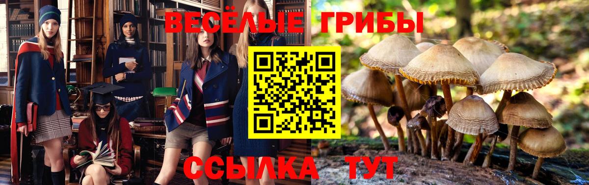 Галлюциногенные грибы мухоморы Моздок